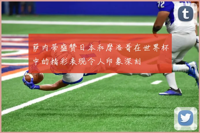 萨内蒂盛赞日本和摩洛哥在世界杯中的精彩表现令人印象深刻