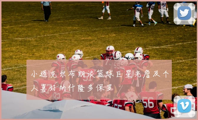 小迈克尔布朗谈篮球巨星老詹及个人喜好纳什隆多保罗